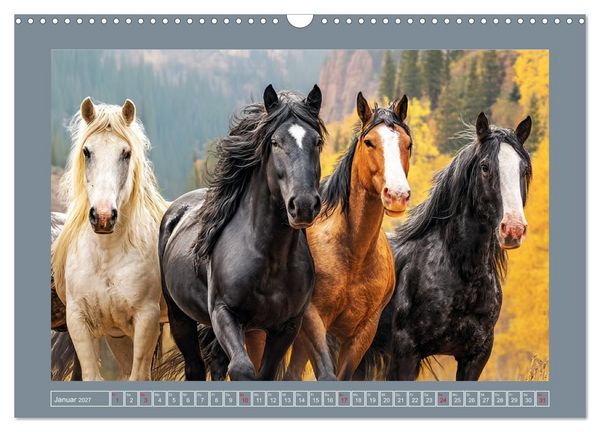 Produktbild: Mustangs. Pferde in ihrer wildesten Sch&ouml;nheit (Wandkalender 2027 DIN A3 quer), CALVENDO Monatskalender