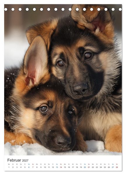 Produktbild: Seelenblick Sch&auml;ferhund (Tischkalender 2027 DIN A5 hoch), CALVENDO Monatskalender