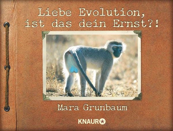 Produktbild: Liebe Evolution, ist das dein Ernst?!