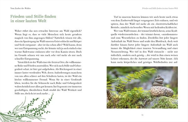 Die Magie des Waldes