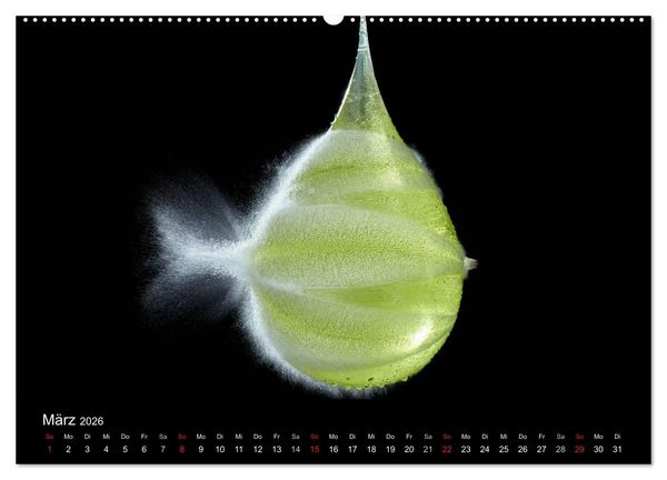 Produktbild: Ballistik Highspeed Fotos (hochwertiger Premium Wandkalender 2026 DIN A2 quer), Kunstdruck in Hochglanz