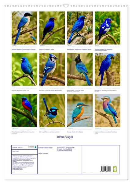 Produktbild: Blaue V&ouml;gel (Wandkalender 2026 DIN A2 hoch), CALVENDO Monatskalender
