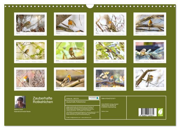 Produktbild: Zauberhafte Rotkehlchen (Wandkalender 2026 DIN A3 quer), CALVENDO Monatskalender