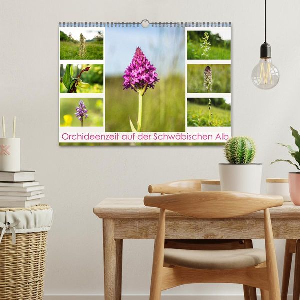 Produktbild: Orchideenzeit auf der Schw&auml;bischen Alb (Wandkalender 2026 DIN A3 quer), CALVENDO Monatskalender