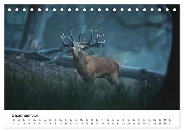 Produktbild: Unsere heimische Tierwelt (Tischkalender 2026 DIN A5 quer), CALVENDO Monatskalender
