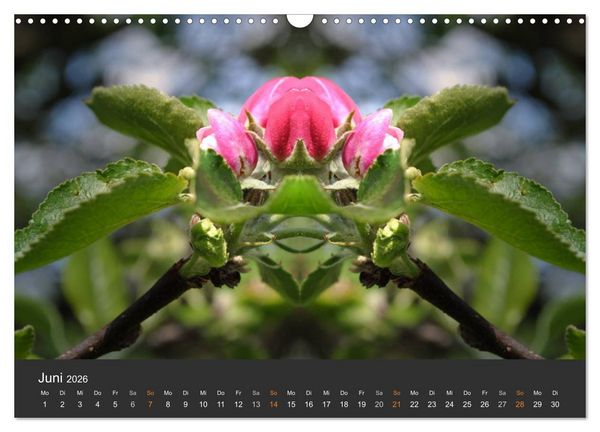 Produktbild: Spiegelwelten - Im Reich der Naturwesen (Wandkalender 2026 DIN A3 quer), CALVENDO Monatskalender