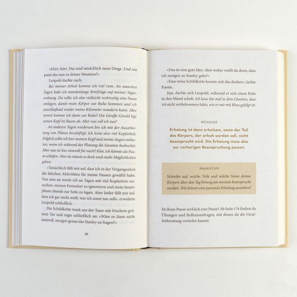 Produktbild: Der m&uuml;de L&ouml;we und die Kunst der Erholung