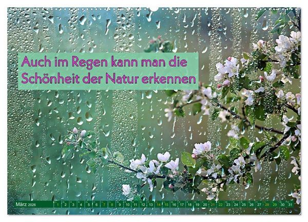 Produktbild: Regenmomente &ndash; Spr&uuml;che f&uuml;r graue Tage (hochwertiger Premium Wandkalender 2026 DIN A2 quer), Kunstdruck in Hochglanz
