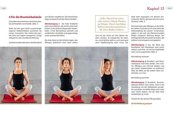 Produktbild: Powertraining mit Tigerfeeling
