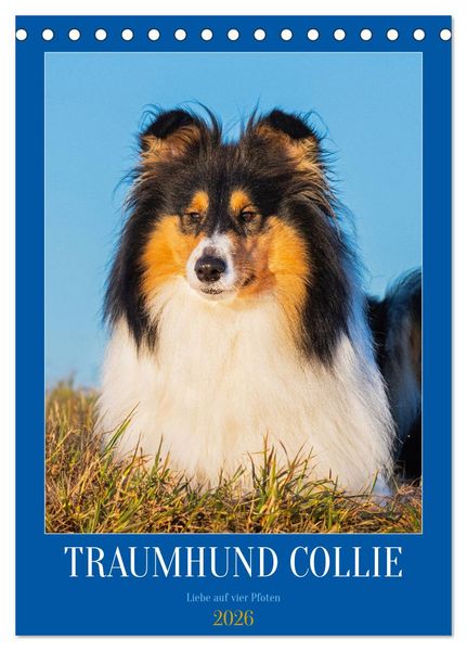 Produktbild: Traumhund Collie - Liebe auf vier Pfoten (Tischkalender 2026 DIN A5 hoch), CALVENDO Monatskalender