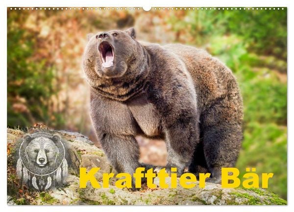 Krafttier Bär (Wandkalender 2026 DIN A2 quer), CALVENDO Monatskalender