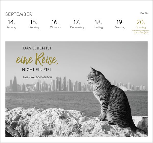 Produktbild: Postkartenkalender 2026: Inspirierende Worte für Katzenfreunde