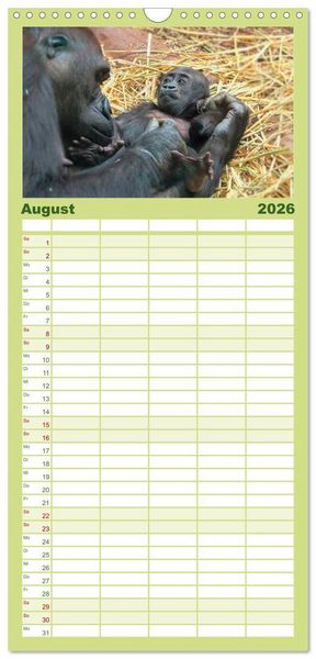 Produktbild: Familienplaner 2026 - Affen - Affenkinder mit 5 Spalten (Wandkalender, 21 x 45 cm) CALVENDO
