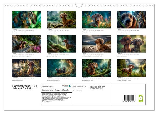 Produktbild: Herzensbrecher - Ein Jahr mit Dackeln (Wandkalender 2027 DIN A3 quer), CALVENDO Monatskalender