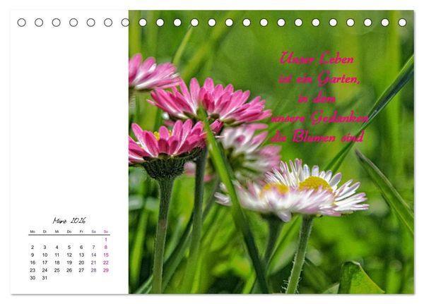 Produktbild: Innehalten in der Natur ... mit Weisheiten und Sprichworten der Indianer (Tischkalender 2026 DIN A5 quer), CALVENDO Monatskalender