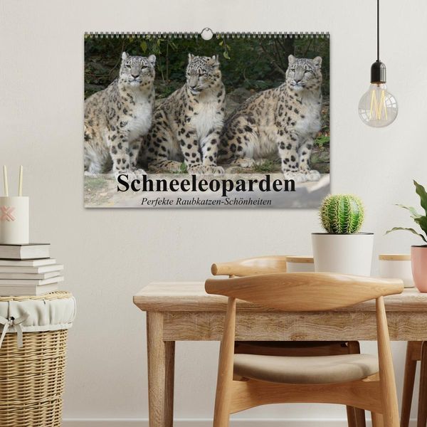 Produktbild: Schneeleoparden. Perfekte Raubkatzen-Sch&ouml;nheiten (Wandkalender 2026 DIN A3 quer), CALVENDO Monatskalender