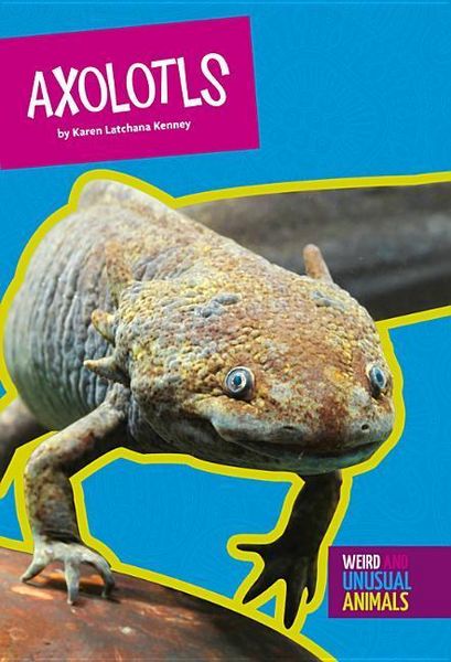 Produktbild: Axolotls
