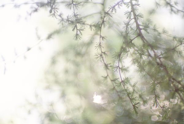Produktbild: Breathe