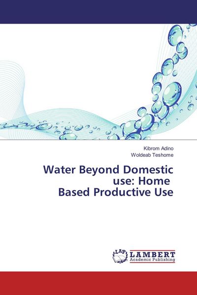 Produktbild: Water Beyond Domestic use: Home Based Productive Use