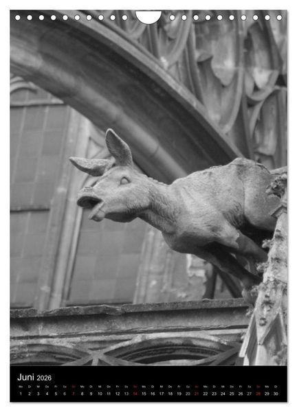 Produktbild: Wasserspeier am Ulmer M&uuml;nster (Wandkalender 2026 DIN A4 hoch), CALVENDO Monatskalender