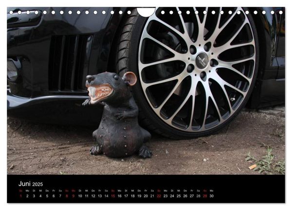 Produktbild: Burnout am W&ouml;rthersee (Wandkalender 2025 DIN A4 quer), CALVENDO Monatskalender