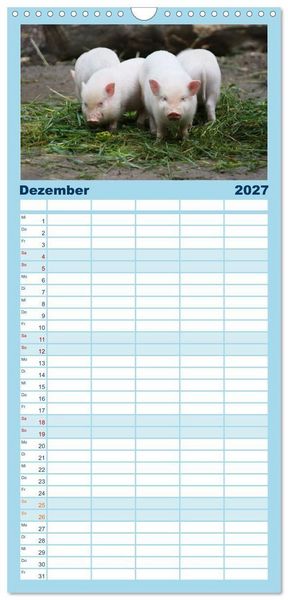 Produktbild: Familienplaner 2027 - Tierische Schweinerei mit 5 Spalten (Wandkalender, 21 x 45 cm) CALVENDO