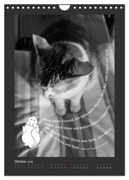 Produktbild: Katz & Maus (Wandkalender 2026 DIN A4 hoch), CALVENDO Monatskalender