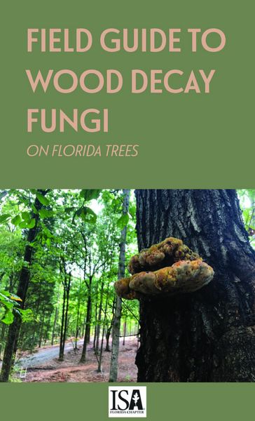 Produktbild: Field Guide to Wood Decay Fungi on Florida Trees