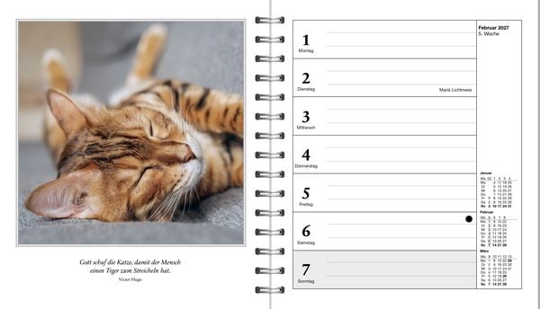 Produktbild: Diary Schmusekatzen 2027