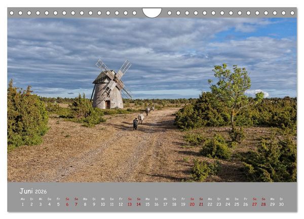 Produktbild: Historische M&uuml;hlen - R&auml;der und Fl&uuml;gel der Vergangenheit (Wandkalender 2026 DIN A4 quer), CALVENDO Monatskalender