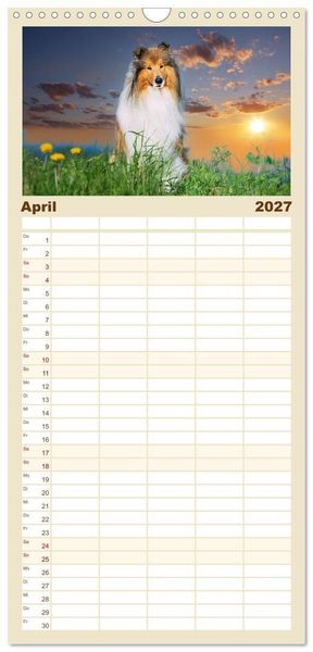Produktbild: Familienplaner 2027 - Faszinierende Rough Collies mit 5 Spalten (Wandkalender, 21 x 45 cm) CALVENDO