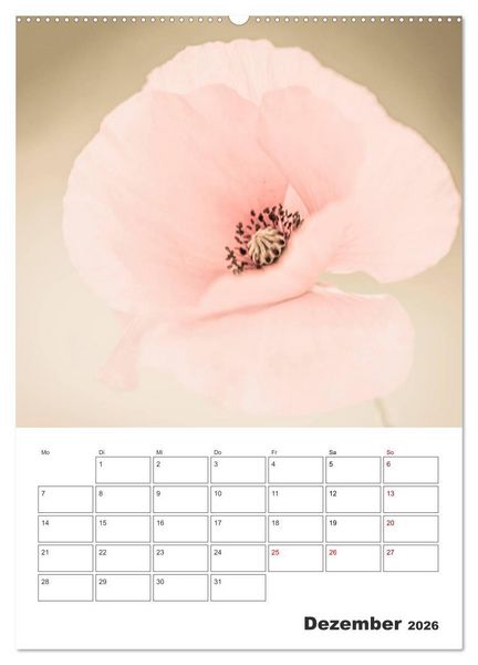Produktbild: Farbiger Bl&uuml;tentraum (hochwertiger Premium Wandkalender 2026 DIN A2 hoch), Kunstdruck in Hochglanz