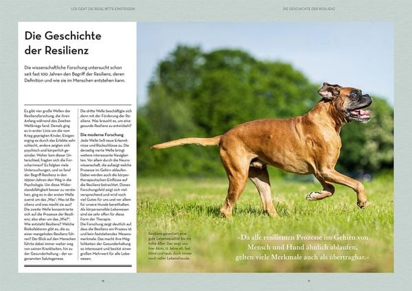 Produktbild: Resilienz bei Hunden