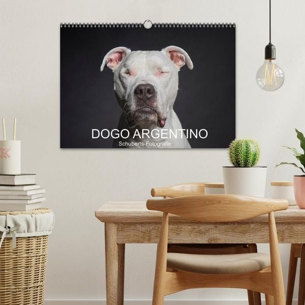 Produktbild: DOGO ARGENTINO (Wandkalender 2026 DIN A3 quer), CALVENDO Monatskalender