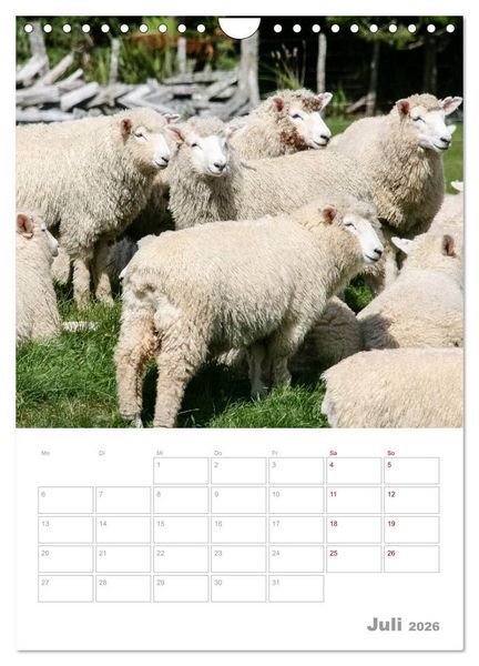 Produktbild: Kalenderplaner g'day Neuseeland 2026 (Wandkalender 2026 DIN A4 hoch), CALVENDO Monatskalender