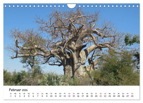 Produktbild: Natur und Landschaft. S&uuml;dliches Afrika 2026 (Wandkalender 2026 DIN A4 quer), CALVENDO Monatskalender