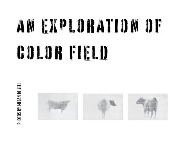 Produktbild: An Exploration In Color Field