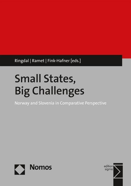 Produktbild: Small States, Big Challenges