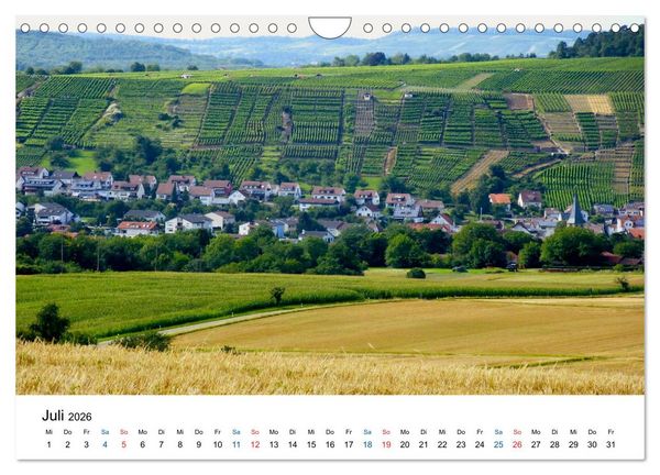 Produktbild: W&uuml;rttemberger Wein 2026 (Wandkalender 2026 DIN A4 quer), CALVENDO Monatskalender