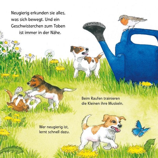Produktbild: Maxi Pixi 463: Entdecke die Tierkinder