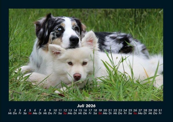 Produktbild: Hundezauber 2026 Fotokalender DIN A4