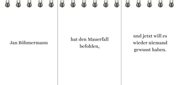 Produktbild: Der Desinformator