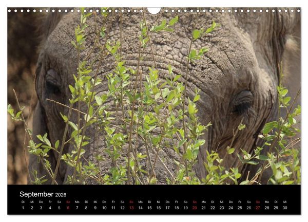 Produktbild: Tansania (Wandkalender 2026 DIN A3 quer), CALVENDO Monatskalender