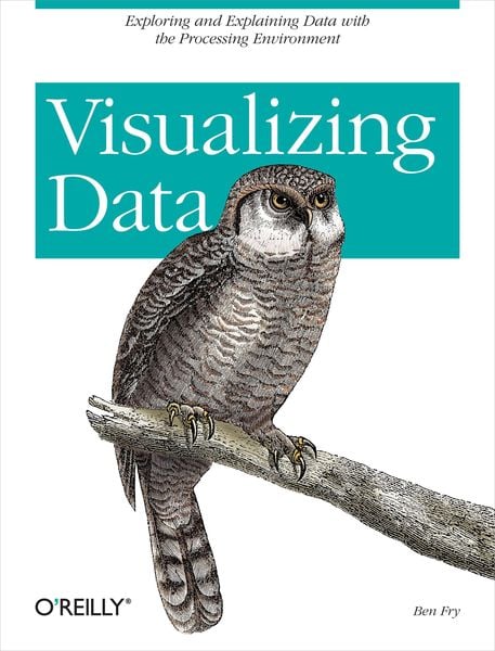 Produktbild: Visualizing Data