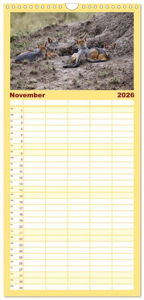 Produktbild: Familienplaner 2026 - Wildes Kinderzimmer - Tierkinder in Afrika mit 5 Spalten (Wandkalender, 21 x 45 cm) CALVENDO