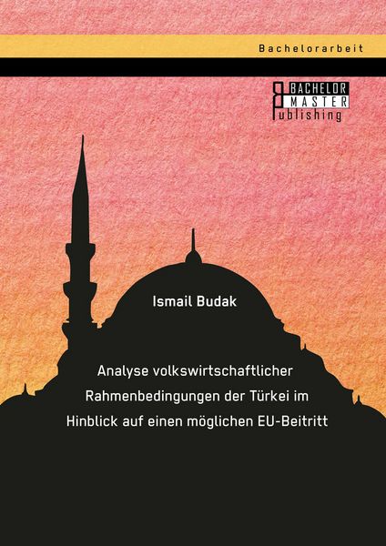Produktbild: Analyse volkswirtschaftlicher Rahmenbedingungen der T&uuml;rkei im Hinblick auf einen m&ouml;glichen EU-Beitritt