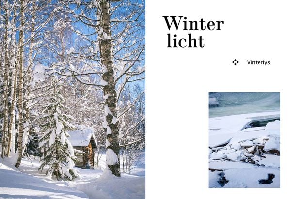 Produktbild: Das Norwegen-Backbuch
