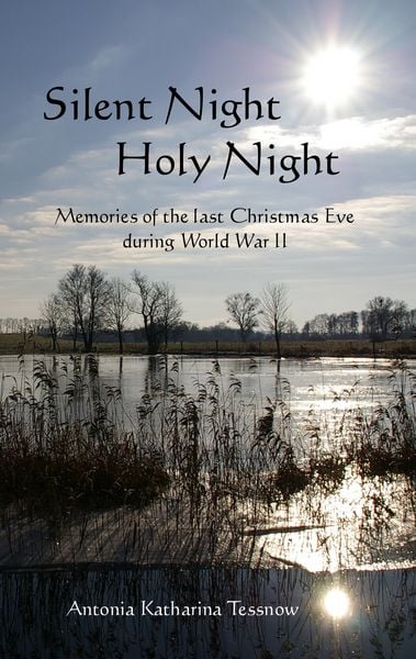 Silent Night, Holy Night, Taschenbuch von Antonia Katharina Tessnow, Twentysix, 9783740733179