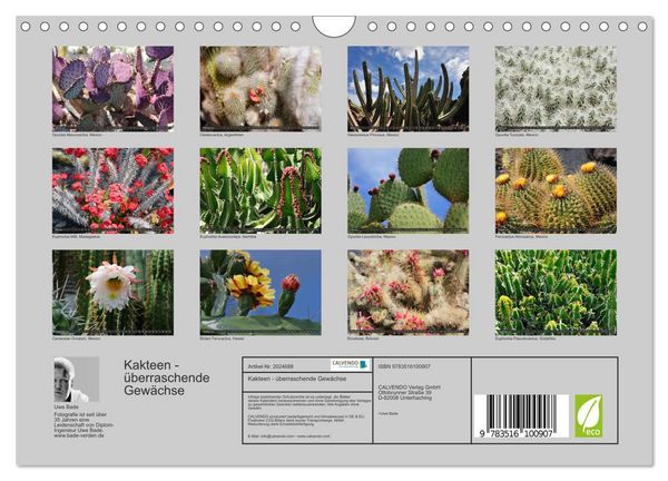 Produktbild: Kakteen - &uuml;berraschende Gew&auml;chse (Wandkalender 2026 DIN A4 quer), CALVENDO Monatskalender