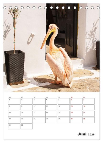 Produktbild: Stadt Mykonos - Reiseplaner (Tischkalender 2026 DIN A5 hoch), CALVENDO Monatskalender